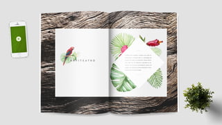 Folder Institucional Ekôa