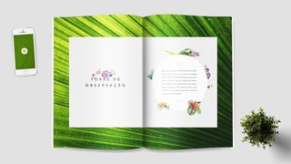 Folder Institucional Ekôa