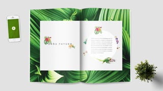 Folder Institucional Ekôa