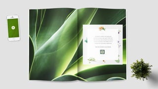 Folder Institucional Ekôa