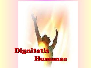 Dignitatis  Humanae 