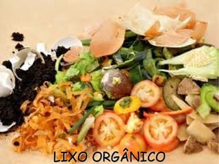 LIXO ORGÂNICO
 