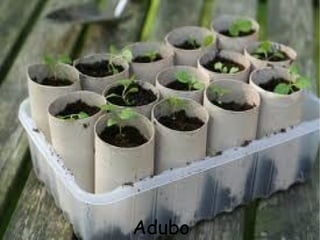 Adubo
 