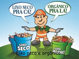 Lixo seco e orgânico
 
