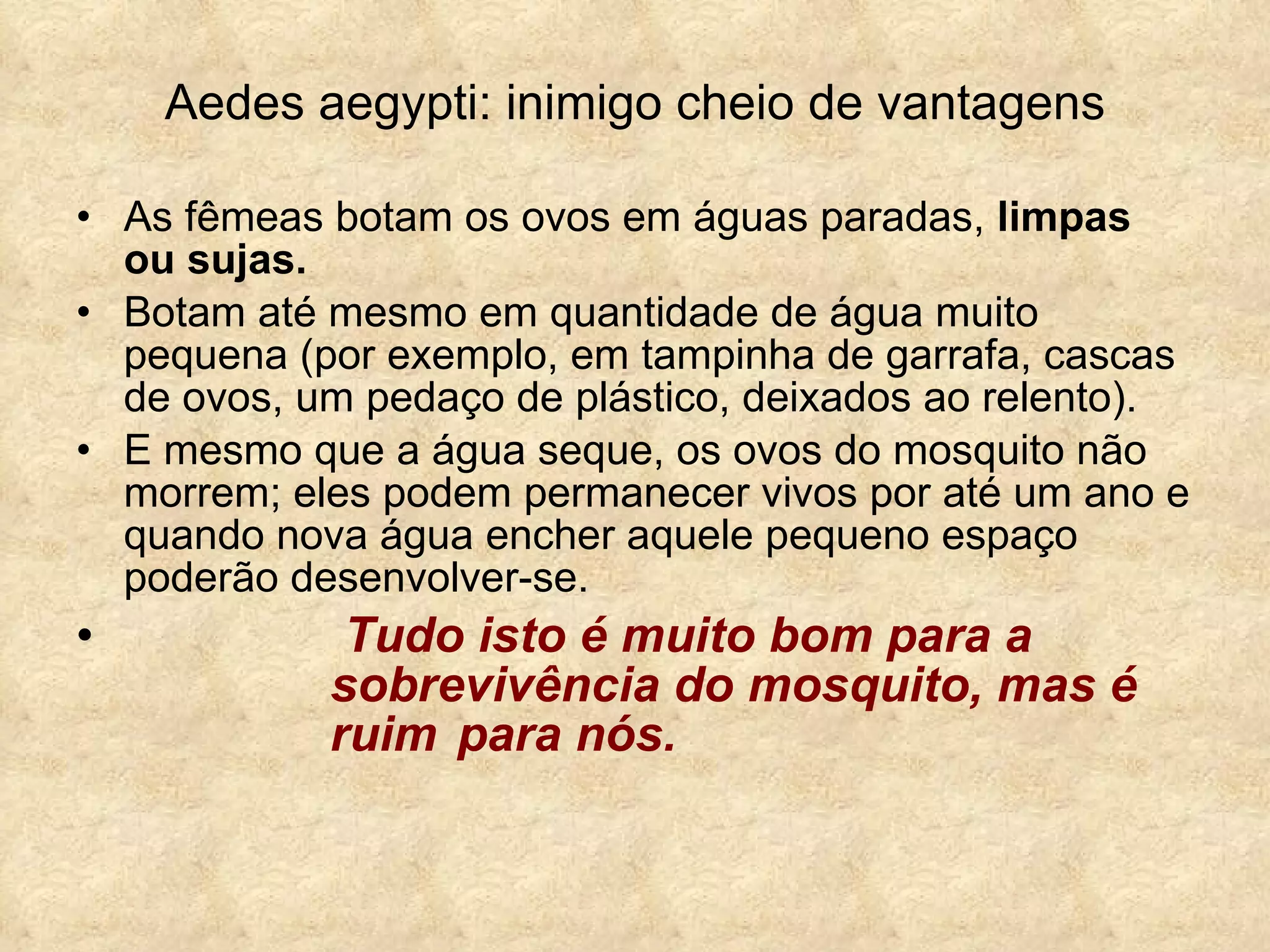 Aedes aegypti: inimigo cheio de vantagens As fêmeas botam os ovos em águas paradas,  limpas ou sujas. Botam até mesmo em quantidade de água muito pequena (por exemplo, em tampinha de garrafa, cascas de ovos, um pedaço de plástico, deixados ao relento). E mesmo que a água seque, os ovos do mosquito não morrem; eles podem permanecer vivos por até um ano e quando nova água encher aquele pequeno espaço poderão desenvolver-se.   Tudo isto é muito bom para a  sobrevivência do mosquito, mas é  ruim  para nós. 