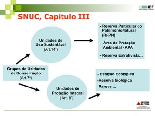 SNUC, Capítulo III
- Estação Ecológica
- Reserva biológica
- Parque ...
Grupos de Unidades
de Conservação
(Art.7o)
Unidades de
Uso Sustentável
(Art.14º)
Unidades de
Proteção Integral
( Art. 8º)
- Reserva Particular do
PatrimônioNatural
(RPPN)
- Área de Proteção
Ambiental - APA
- Reserva Extrativista…
 