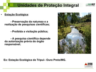 Unidades de Proteção Integral
•  Estação Ecológica:
- Preservação da natureza e a
realização de pesquisas científicas;
- Proibida a visitação pública;
- A pesquisa científica depende
da autorização prévia do órgão
responsável.
Ex: Estação Ecológica do Tripuí– Ouro Preto/MG.
 