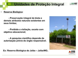 Unidades de Proteção Integral
•  Reserva Biológica:
- Preservação integral da biota e
demais atributos naturais existentes em
seus limites;
- Proibido a visitação, exceto com
objetivo educacional;
- A pesquisa científica depende da
autorização prévia do órgão responsável.
Ex: Reserva Biológica do Jaíba – Jaíba/MG.
 