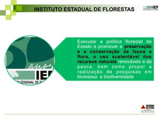 Executar a política florestal do
Estado e promover a preservação
e a conservação da fauna e
flora, o uso sustentável dos
recursos naturais renováveis e da
pesca, bem como propor a
realização de pesquisas em
biomassa e biodiversidade
INSTITUTO ESTADUAL DE FLORESTAS
 