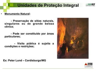 Unidades de Proteção Integral
•  Monumento Natural:
- Preservação de sítios naturais,
singulares ou de grande beleza
cênica;
- Pode ser constituído por áreas
particulares;
- Visita pública é sujeita a
condições e restrições;
Ex: Peter Lund – Cordisburgo/MG
 