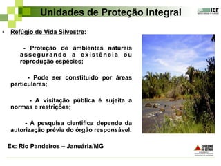 Unidades de Proteção Integral
•  Refúgio de Vida Silvestre:
- Proteção de ambientes naturais
assegurando a existência ou
reprodução espécies;
- Pode ser constituído por áreas
particulares;
- A visitação pública é sujeita a
normas e restrições;
- A pesquisa científica depende da
autorização prévia do órgão responsável.
Ex: Rio Pandeiros – Januária/MG
 