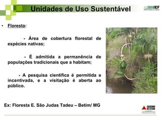 Unidades de Uso Sustentável
•  Floresta:
- Área de cobertura florestal de
espécies nativas;
- É admitida a permanência de
populações tradicionais que a habitam;
- A pesquisa científica é permitida e
incentivada, e a visitação é aberta ao
público.
Ex: Floresta E. São Judas Tadeu – Betim/ MG
 