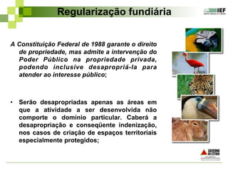 Regularização fundiária
A Constituição Federal de 1988 garante o direito
de propriedade, mas admite a intervenção do
Poder Público na propriedade privada,
podendo inclusive desapropriá-la para
atender ao interesse público;
•  Serão desapropriadas apenas as áreas em
que a atividade a ser desenvolvida não
comporte o domínio particular. Caberá a
desapropriação e conseqüente indenização,
nos casos de criação de espaços territoriais
especialmente protegidos;
 