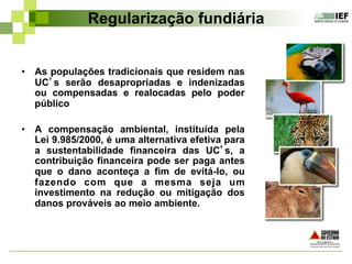 Regularização fundiária
•  As populações tradicionais que residem nas
UC’s serão desapropriadas e indenizadas
ou compensadas e realocadas pelo poder
público
•  A compensação ambiental, instituída pela
Lei 9.985/2000, é uma alternativa efetiva para
a sustentabilidade financeira das UC’s, a
contribuição financeira pode ser paga antes
que o dano aconteça a fim de evitá-lo, ou
fazendo com que a mesma seja um
investimento na redução ou mitigação dos
danos prováveis ao meio ambiente.
 