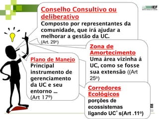 Conselho Consultivo ou
deliberativo
Composto por representantes da
comunidade, que irá ajudar a
melhorar a gestão da UC.
(Art. 29o)
Zona de
Amortecimento
Uma área vizinha á
UC, como se fosse
sua extensão ((Art
25o)
Corredores
Ecológicos
porções de
ecossistemas
ligando UC’s(Art .11o)
Plano de Manejo
Principal
instrumento de
gerenciamento
da UC e seu
entorno ...
(Art 17º)
 