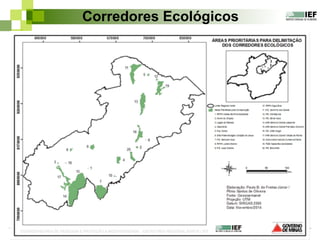 Corredores Ecológicos
 