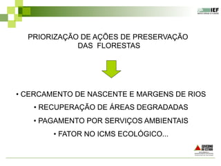 • CERCAMENTO DE NASCENTE E MARGENS DE RIOS
• RECUPERAÇÃO DE ÁREAS DEGRADADAS
• PAGAMENTO POR SERVIÇOS AMBIENTAIS
• FATOR NO ICMS ECOLÓGICO...
PRIORIZAÇÃO DE AÇÕES DE PRESERVAÇÃO
DAS FLORESTAS
 