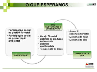 •  Participação social
na gestão florestal
•  Participação social
na preservação
ambiental
PARTICITAÇÃO
•  Manejo Florestal
•  Sistemas de produção
sustentáveis
•  Sistemas
agroflorestais
•  Recuperação de áreas
USO
SUSTENTÁVEL e
CONSERVAÇÃO
•  Aumento
cobertura florestal
•  Melhoria da água
•  Melhoria do solo
QUALIDADE DE
VIDA
O QUE ESPERAMOS...
 