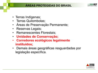 •  Terras Indígenas;
•  Terras Quilombolas;
•  Áreas de Preservação Permanente;
•  Reservas Legais;
•  Remanescentes Florestais;
•  Unidades de Conservação;
•  Corredores ecológicos legalmente
instituídos;
•  Demais áreas geográficas resguardadas por
legislação específica.	
  
ÁREAS PROTEGIDAS DO BRASIL
 