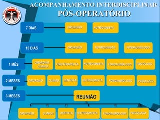 1 MÊS
7 DIAS
15 DIAS
2 MESES
3 MESES
CIRURGIÃOCIRURGIÃO NUTRICIONISTANUTRICIONISTA
CIRURGIÃOCIRURGIÃO
CIRURGIÃOCIRURGIÃO
CLÍNICOCLÍNICO
FONOAUDIÓLOGOFONOAUDIÓLOGO
CIRURGIÃOCIRURGIÃO
NUTRICIONISTANUTRICIONISTA
NUTRICIONISTANUTRICIONISTA
FONOAUDIÓLOGOFONOAUDIÓLOGO
FISIOTERAPEUTAFISIOTERAPEUTA PSICÓLOGOPSICÓLOGO
CLÍNICOCLÍNICO NUTRICIONISTANUTRICIONISTA FONOAUDIÓLOGOFONOAUDIÓLOGO PSICÓLOGOPSICÓLOGODENTISTADENTISTA
REUNIÃO
CIRURGIÃOCIRURGIÃO CLÍNICOCLÍNICO NUTRICIONISTANUTRICIONISTA FONOAUDIÓLOGOFONOAUDIÓLOGO PSICÓLOGOPSICÓLOGODENTISTADENTISTA
ACOMPANHAMENTO INTERDISCIPLINARACOMPANHAMENTO INTERDISCIPLINAR
PÓS-OPERATÓRIOPÓS-OPERATÓRIO
 