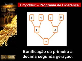 Emgoldex – Programa de Liderança

Bonificação da primeira a
décima segunda geração.

 