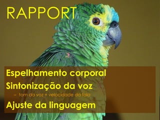 RAPPORT Espelhamento corporal Sintonização da voz tom da voz + velocidade da fala Ajuste da linguagem   