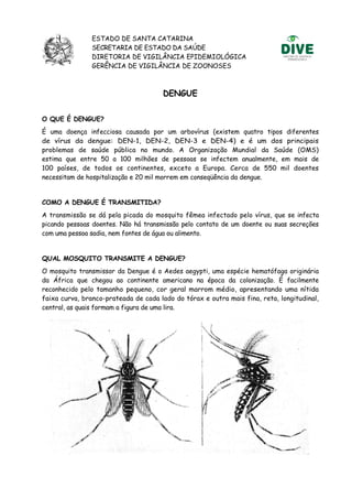 O Que é Dengue Pdf O Que é Dengue Pdf