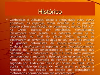 Histórico Conhecidas e utilizadas desde a antiguidade pelos povos primitivos, as esponjas foram incluídas já no primeiro tratado sobre classificação de organismos, escrito 350 a.C. na Grécia clássica por Aristóteles. Consideradas inicialmente como planta, sua natureza animal só foi reconhecida no final do século XVIII, quando se observaram as correntes de água no seu corpo. No entanto os grandes naturalistas da época(Lammarck. Lineu, Cuvier), classificavam as esponjas como Zoophita(animais-plantas) ou Pólipos(considerando-as como próximas dos cnidários). Foi o naturalista inglês R.E Grant quem primeiro compreendeu a anatomia e fisiologia das esponjas e criou o nome Porifera. A elevação de Porifera ao nível de Filo, sugerida por Huxley em 1875 e por Sollas em 1884, só foi aceita no início do século XX. Ainda assim, os debates a respeito de sua posição em relação aos protozários e metazoários permaneceram até recentemente. 