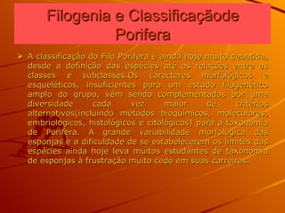 Filogenia e Classificaçãode Porifera A classificação do Filo Porifera é ainda hoje muito debatida, desde a definição das espécies até as relações entre as classes e subclasses.Os caracteres morfólógicos e esqueléticos, insuficientes para um estudo filogenético amplo do grupo, vêm sendo complementados por uma diversidade cada vez maior de critérios alternativos(incluindo métodos bioquímicos, moleculares, embriológicos, histológicos e citológicos) para a taxonomia de Porifera. A grande variabilidade morfológica das esponjas e a dificuldade de se estabelecerem os limites das espécies ainda hoje leva muitos estudantes de taxonomia de esponjas à frustração muito cedo em suas carreiras. 