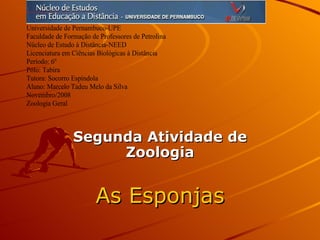 Segunda Atividade de Zoologia As Esponjas 