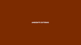 AMBIENTE EXTERNO

 