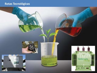 Furnas Centrais Elétricas; 