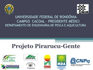 UNIVERSIDADE FEDERAL DE RONDÔNIA   CAMPUS  CACOAL – PRESIDENTE MÉDICI DEPARTAMENTO DE ENGENHARIA DE PESCA E AQUICULTURA  Projeto Pirarucu-Gente Fepearo 