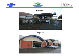 Videira




Tangará
 