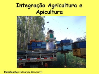 Integração Agricultura e
Apicultura

Palestrante: Edmundo Marchetti

 