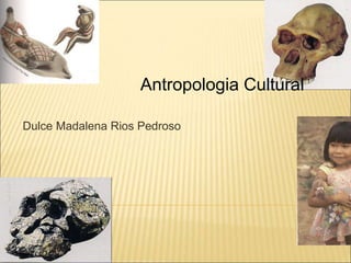 Dulce Madalena Rios Pedroso
Antropologia Cultural
 