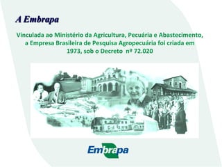 A Embrapa
Vinculada	
  ao	
  Ministério	
  da	
  Agricultura,	
  Pecuária	
  e	
  Abastecimento,	
  	
  
a	
  Empresa	
  B...