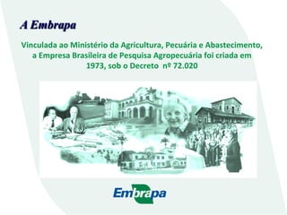 A Embrapa
Vinculada	
  ao	
  Ministério	
  da	
  Agricultura,	
  Pecuária	
  e	
  Abastecimento,	
  	
  
a	
  Empresa	
  Brasileira	
  de	
  Pesquisa	
  Agropecuária	
  foi	
  criada	
  em	
  
1973,	
  sob	
  o	
  Decreto	
  	
  nº	
  72.020	
  
 