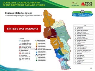 CONTEXTOS DA AGRICULTURA NO
PLANO DIRETOR DA BACIA DO VELHAS
 