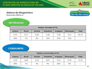 CONTEXTOS DA AGRICULTURA NO
PLANO DIRETOR DA BACIA DO VELHAS
 