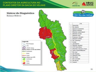 CONTEXTOS DA AGRICULTURA NO
PLANO DIRETOR DA BACIA DO VELHAS
 