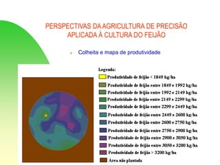 PERSPECTIVAS DAAGRICULTURA DE PRECISÃO
APLICADA À CULTURA DO FEIJÃO
 Colheita e mapa de produtividade
 