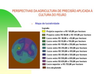 PERSPECTIVAS DAAGRICULTURA DE PRECISÃO APLICADA À
CULTURA DO FEIJÃO
 Mapa de lucratividade
 