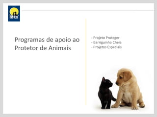 Programas de apoio ao
Protetor de Animais
- Projeto Proteger
- Barriguinha Cheia
- Projetos Especiais
 