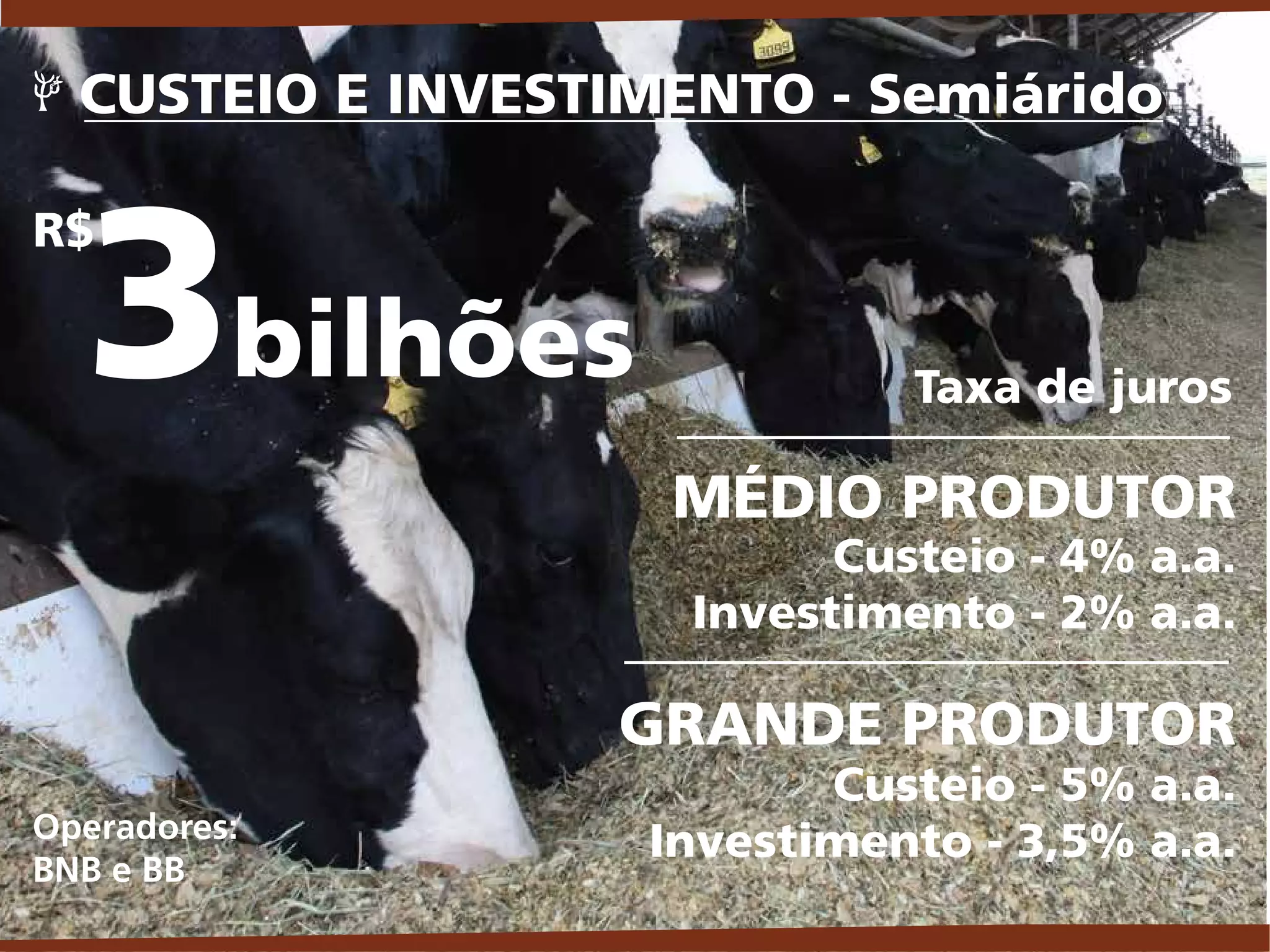 MÉDIO E GRANDE PRODUTOR
CUSTEIO E INVESTIMENTO - SemiáridoCUSTEIO E INVESTIMENTO - Semiárido
Operadores:
BNB e BB
3bilhões
R$
MÉDIO PRODUTOR
Custeio - 4% a.a.
Investimento - 2% a.a.
GRANDE PRODUTOR
Custeio - 5% a.a.
Investimento - 3,5% a.a.
Taxa de juros
 