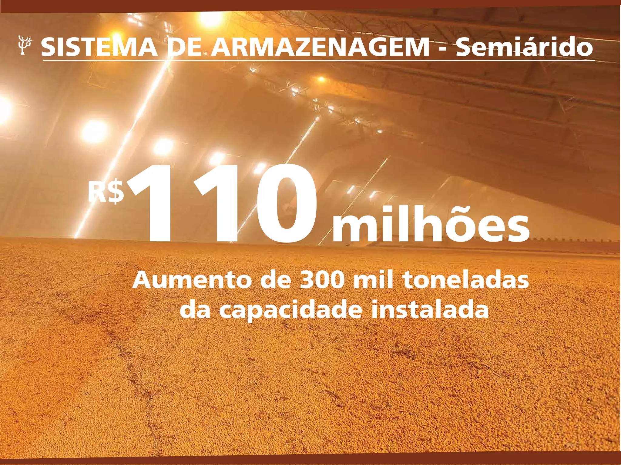 Aumento de 300 mil toneladas
da capacidade instalada
110milhões
R$
SISTEMA DE ARMAZENAGEM - Semiárido
 