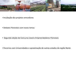 • Incubação dos projetos vencedores
• Debates Florestais com novos temas
• Segunda edição do Concurso Jovens Empreendedores Florestais
• Parcerias com Universidades e aproximação de outros estados da região Norte
 