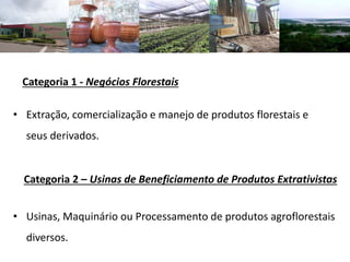 Categoria 1 - Negócios Florestais
• Extração, comercialização e manejo de produtos florestais e
seus derivados.
Categoria 2 – Usinas de Beneficiamento de Produtos Extrativistas
• Usinas, Maquinário ou Processamento de produtos agroflorestais
diversos.
 