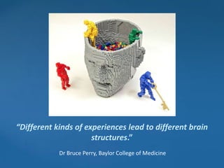 “Different kinds of experiences lead to different brain
                      structures.”
            Dr Bruce Perry, Baylor College of Medicine
 