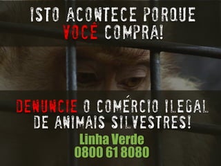 Isto acontece porque vocEcompra! 
Linha Verde 
0800 61 8080 
Denuncieo comErcioilegal 
de animais silvestres!  
